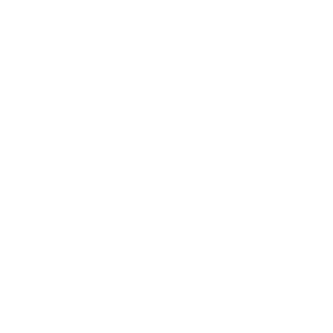 decks_logo_icon_white