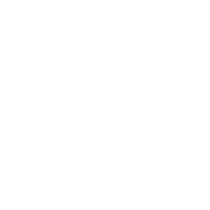 tranam_logo_icon_white